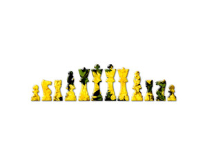 Chess game players Sunflowers Icon Logo Symbol illustration