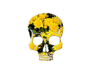 Dead Skull Scary Skeleton Sunflowers Icon Logo Symbol illustration