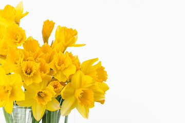 Bunch of flowers on white background. Daffodils on white, copy space for the text