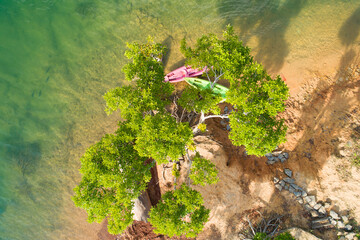 Aerial drone photo of sport canoes with trees as shot from above in lake or pond Amazing top view...