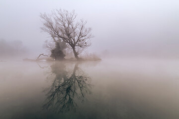 Fototapeta na wymiar river in the fog
