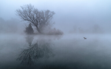 river in the fog