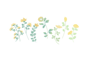 〘ナチュラルフラワー〙優しい淡色の草花
