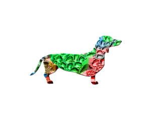 Dog Dachshund Pet Colorful Water Rain Drops Icon Logo illustration
