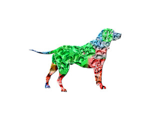 Dog Pet Animal Colorful Water Rain Drops Icon Logo illustration
