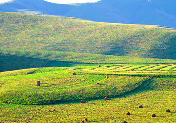 Hills in the foothills of Altai