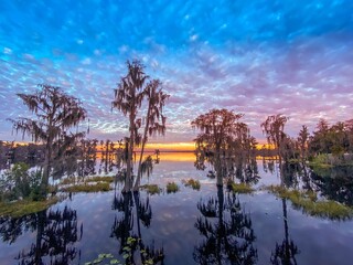 Brilliant sunset over a lake with Spanish moss hanging fro trees in Florida