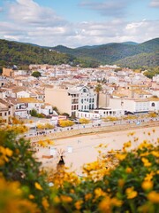 village in the mountains