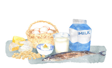 カルシウムとタンパク質が多い食品