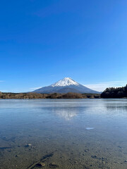 山梨県南都留郡富士河口湖町の精進湖と富士山