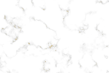 Gold mineral little sea hrose line and white granite marble luxury interior texture