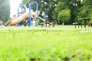 朝露にぬれる公園