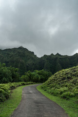 Fototapeta na wymiar Ho’omaluhia Botanical Garden, Koolau Range, Oahu Hawaii