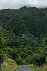 Fototapeta na wymiar Ho’omaluhia Botanical Garden, Koolau Range, Oahu Hawaii
