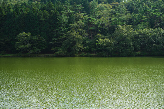 緑色の湖