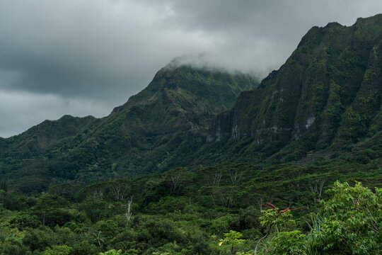 Ho&rsquo;omaluhia Botanical Garden, Koolau Range, Oahu Hawaii