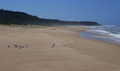 Ninety mile beach a secluded section in Gippsland.JPG