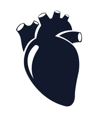 Human heart design