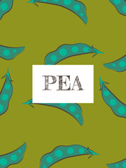 Naklejka premium illustration of a pea