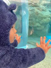Boy watching fish in the aquarium