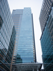 urban skyscrapers with glass windows in roppongi 