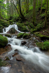 Obraz premium 茨城県 花園渓谷