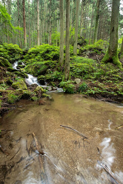 花園渓谷 の画像 57 件の Stock 写真 ベクターおよびビデオ Adobe Stock 花園渓谷 の画像 57 件の Stock 写真 ベクターおよびビデオ Adobe Stock