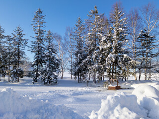 Well in a snowy garden (Kutchan, Hokkaido, Japan)