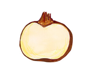 Watercolor hand drawn vegetable, isolated on white background