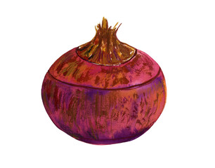 Watercolor hand drawn vegetable, isolated on white background