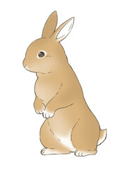 茶色の毛のうさぎのイラスト_年賀状・卯・イースター