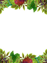 Watercolor hand drawn vegetable frame, isolated on white background.