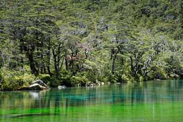 Blue lake, Nelson Lakes National Park, south island, New Zealand