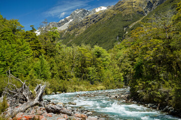 Fototapeta na wymiar Sabine River, near Sabine Hut, Nelson Lakes National Park, south island, New Zealand.