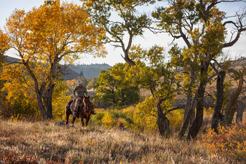 Wyoming Cowgirl