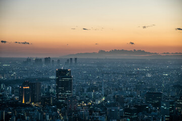 都会の高層ビル群の夕景