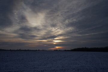 sunset over the field