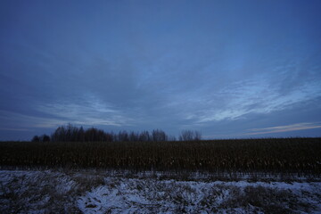 sunset in the forest