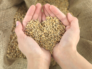 wheat heart
