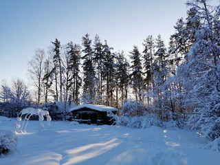 A dark one-story wooden house - a round log bathhouse in the snow among snow-covered trees.