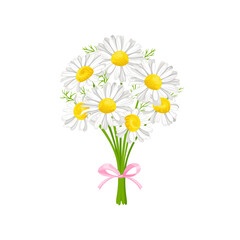 Bouquet of daisy isolated on white background. Vector spring chamomile flowers. Cartoon flat illustration. Floral icon.