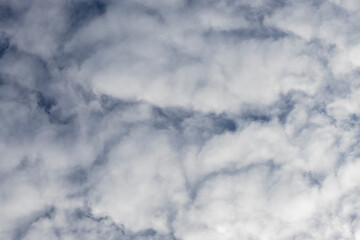 Obraz premium white fluffy clouds in the sky