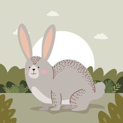 cute rabbit woodland animal