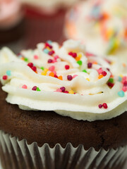 Chocolate muffins
