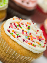 macro detail muffin
