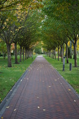 alley in the park