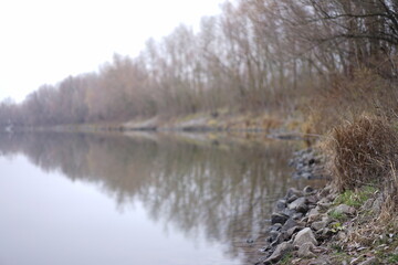 stones on the beach of the river