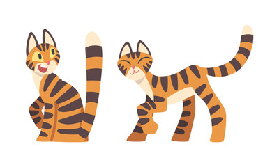 Fototapeta na wymiar Tiger Character with Orange Fur and Black Stripes Walking and Sitting Vector Illustration Set