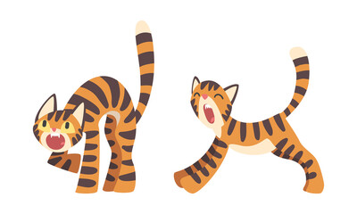 Fototapeta na wymiar Tiger Character with Orange Fur and Black Stripes Yawning and Roaring Vector Illustration Set