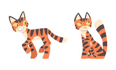 Fototapeta na wymiar Tiger Character with Orange Fur and Black Stripes Walking and Sitting Vector Illustration Set